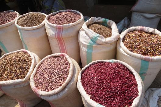 Kinshasa : un sac des haricots de 100 kg passe de 230 à 250 dollars sur les marchés