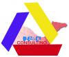 Blez&Co Consulting