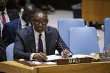 Au Conseil de sécurité de l'ONU, le Mali renouvelle ses accusations contre la France
