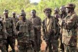 Massacre de Beni : où en est la lutte contre les rebelles ADF en Ouganda ?