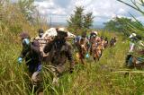 Activisme des ADF à Beni : encore 15 civils massacrés près d'Eringeti, dont des agriculteurs