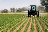 Lubumbashi : le président candidat, Félix Tshisekedi, entend relancer l’agriculture pour combattre le chômage