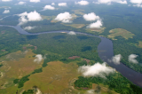 Protection du bassin du Congo: 30 ans après son lancement, quel bilan pour le projet Ecofac?