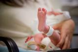 Des bébés fécondés in-vitro par un robot ont vu le jour aux USA