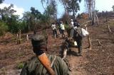 Beni en RDC : on recherche toujours les disparus ou victimes des massacres