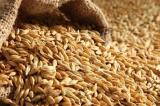 Afrique : Quelles alternatives à la farine de blé ?