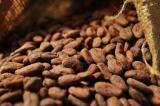 Hausse de prix des produits agricoles sur le marché mondial, le cacao se situe à 1,34 USD le kilo contre 1,24 USD la semaine dernière