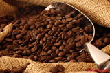 Renforcement du climat des affaires dans le secteur de café, cacao et autres produits agricoles