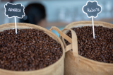 Produits agricoles : le prix du café Arabica passe de 3,74 à 3,65 USD le kilo, celui du café Robusta reste stable