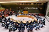 Nord-Kivu : le Conseil de sécurité de l’ONU exige la cessation immédiate des hostilités 