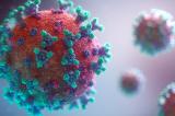 Coronavirus : 13 nouveaux cas confirmés rapportés jeudi (Rapport)