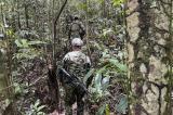 Colombie : Des enfants disparus depuis un mois dans la jungle sont 