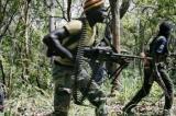Ituri : des miliciens de la Codeco tuent de nouveau des civils à Djugu