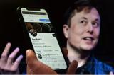 Twitter : les comptes suspendus ne reviendront pas avant plusieurs semaines selon Elon Musk