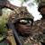 Infos congo - Actualités Congo - -Est de la RDC : la SADC autorisée a lancé des offensives contre la coalition M23/RDF