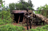 Ituri : deux grands bastions des rebelles ADF identifiés à Mambasa