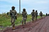Nord-Kivu-Beni : les FARDC libèrent trois otages des ADF sur la route Kainama-Bunia