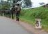 -Parc de la Garamba: affrontements entre les FARDC et des braconniers étrangers
