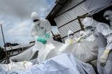 Nigéria : la Fièvre de Lassa fait 20 morts en une semaine