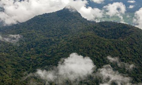 Infos congo - Actualités Congo - -Sous les auspices du PNUD, Organisation d’une journée de réflexion sur la protection de...