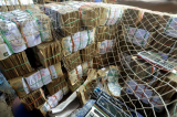 Maniema : plus de 70 millions de francs congolais volés à l'ISTM à Kasongo