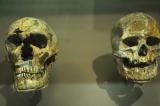 Homo sapiens était présent en Europe plus tôt qu'on ne le pensait