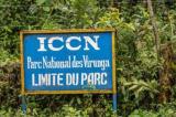 Parc National des Virunga : Les défis de conservation dans un contexte de guerre et d’élections