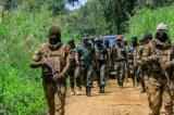 Ituri : l’armée tue 4 membres de la nouvelle milice « Chini ya Tuna » à Irumu