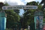 Le jardin zoologique de Kinshasa en quête de jouvence
