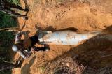 Beni : une bombe de 500 kg neutralisée dans l’ancien bastion des ADF à Kididiwe