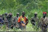 Beni : 5 personnes tuées par des ADF à Ruwenzori
