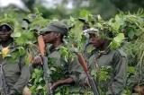 Guerre dans l’Est de la RDC : qui soutient réellement les groupes d’autodéfense?