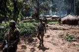Ituri, 14 personnes tuées dans une attaque de miliciens