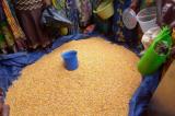 Kananga : début de vente de 650 tonnes de maïs en provenance de Kanyama Kasese