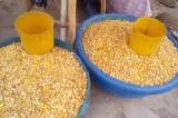 Matadi : une mesurette d'un kg de maïs passe de 1000 à 1500 FC sur les marchés
