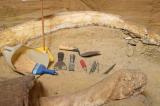 Découverte de restes de mammouth laineux et de divers animaux préhistoriques en Angleterre