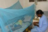 Kinshasa : « La moustiquaire reste le moyen efficace pour lutter contre le paludisme » (Experts) 