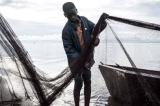 La pêche à la moustiquaire imprégnée inquiète les professionnels