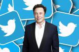 Elon Musk veut licencier les trois quarts des salariés de Twitter