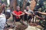 Nord-Kivu : 2 ADF et leurs collaborateurs arrêtés par les FARDC et l’armée Ougandaise à Beni