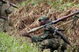 Nord-Kivu : les FARDC et les rebelles du M23/RDF s’affrontent à nouveau à Saké