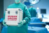 Le Sénat examine la proposition de loi sur la transplantation d'organes du corps humain