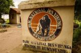 Nord-Kivu : la société civile satisfaite de l’installation des fils électriques autour du parc national des Virunga
