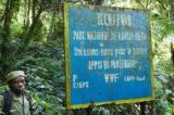 Sud-Kivu : les peuples autochtones pygmées déplorent la spoliation du Parc de Kahuzi-Biega