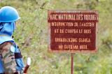 Tribunal environnemental : un impératif pour la RDC   