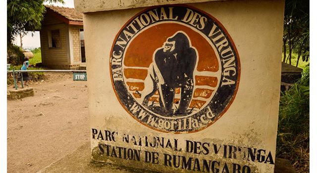 Congo: menacé de toutes parts, le parc des Virunga interdit l'abattage d'arbres Congo: menacé de toutes parts, le parc des Virunga interdit l'abattage d'arbres