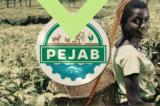 PEJAB recrute des jeunes diplômés ayant une idée d'entreprise dans le secteur agricole et agro- business 