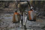 Le projet d’attribution de droits d’exploration pétrolière menace la préservation des forêts tropicales