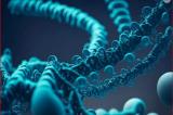 Génome: pour la première fois, le chromosome humain Y a été entièrement séquencé par des chercheurs