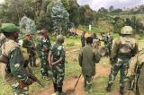 Poursuite des combats FARDC-M23 à Masisi et Rutshuru